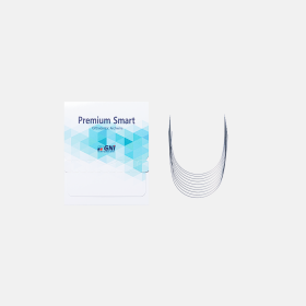 GNI-Stainless Steel Archwire